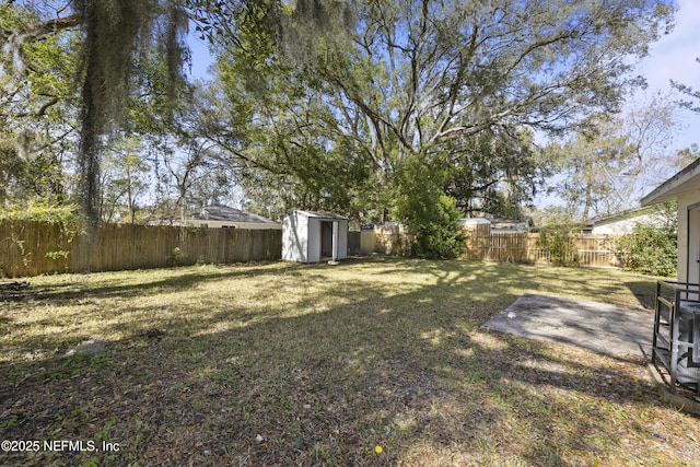 view of yard featuring a patio and a shed