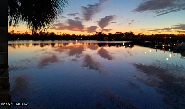 property view of water