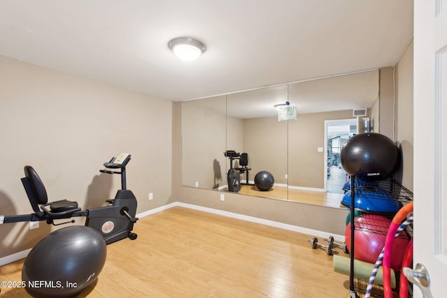 workout room featuring wood-type flooring