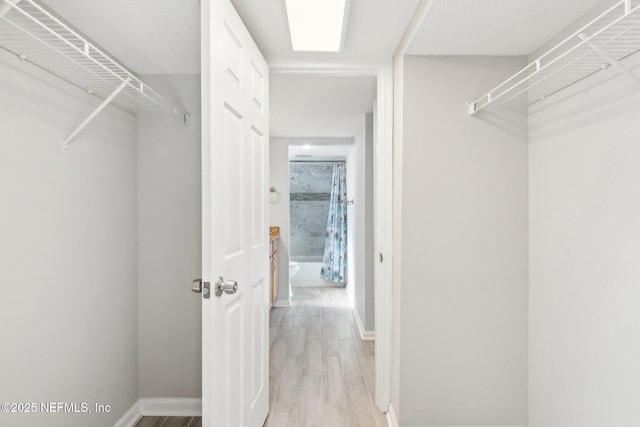 spacious closet with light wood-type flooring