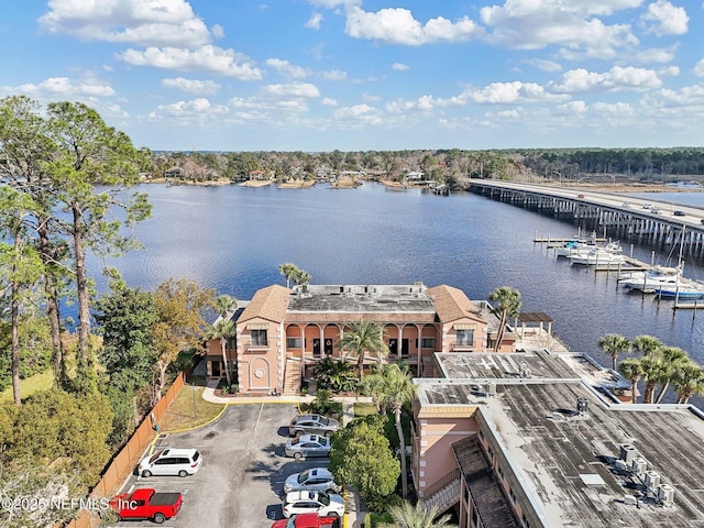 aerial view with a water view