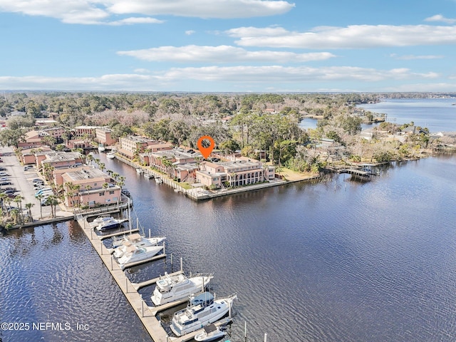 drone / aerial view with a water view