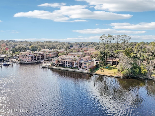 drone / aerial view featuring a water view