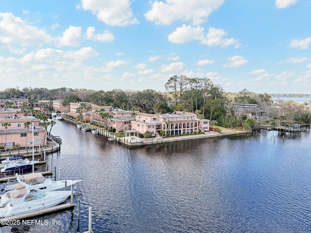 water view with a dock