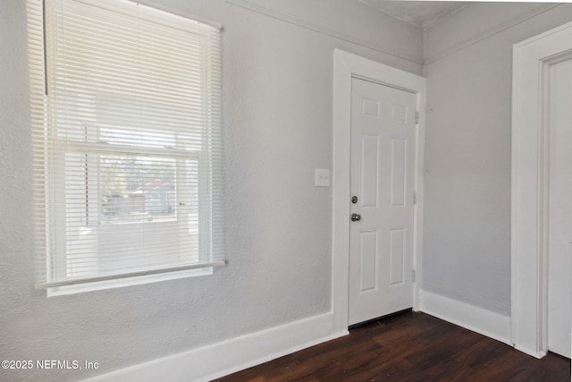 entryway featuring dark hardwood / wood-style floors