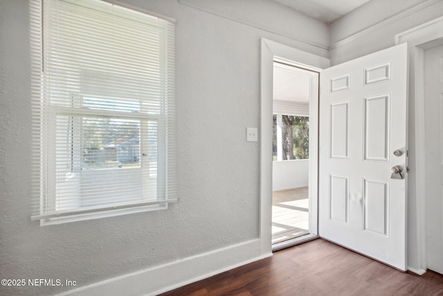 foyer featuring dark hardwood / wood-style flooring