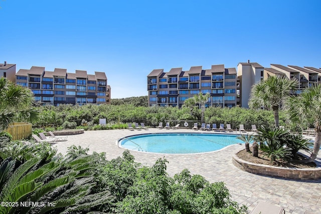 view of pool featuring a patio area