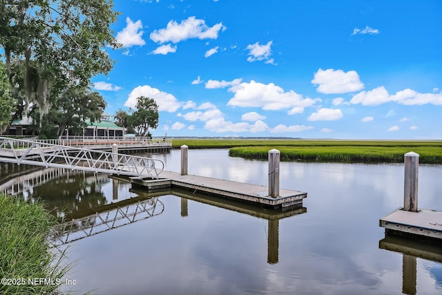 dock area with a water view