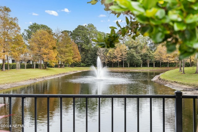 view of water feature