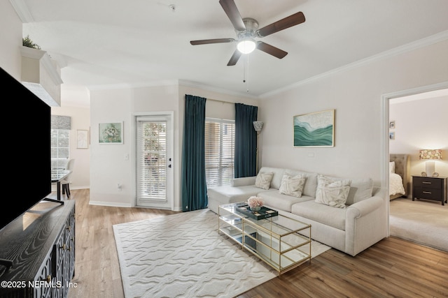 living room with hardwood / wood-style flooring, ceiling fan, and ornamental molding