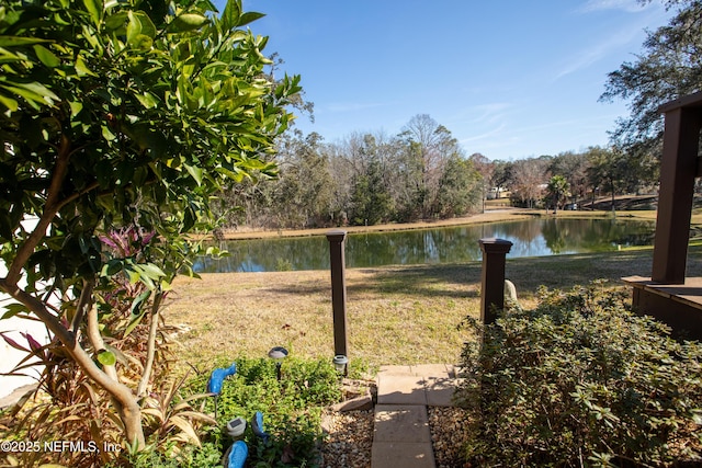 view of yard with a water view