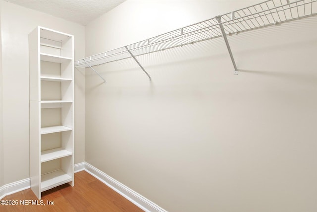 walk in closet with wood-type flooring