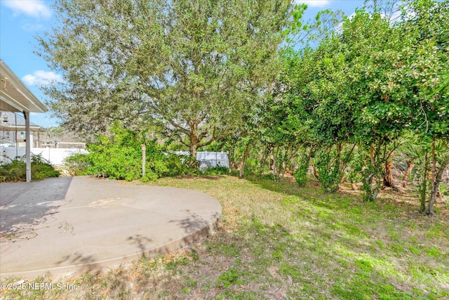 view of yard with a patio area