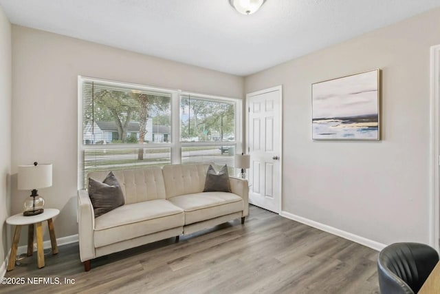 living area featuring hardwood / wood-style flooring