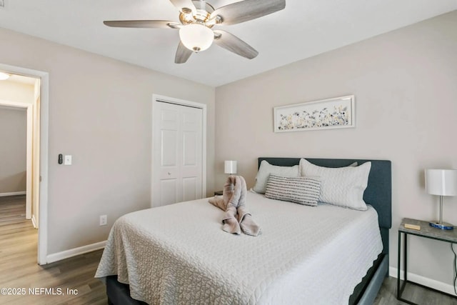 bedroom featuring ceiling fan, dark hardwood / wood-style flooring, and a closet