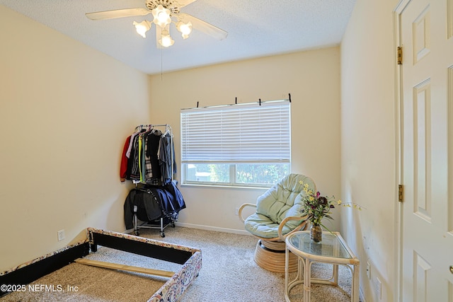 exercise room with ceiling fan, carpet floors, and a textured ceiling