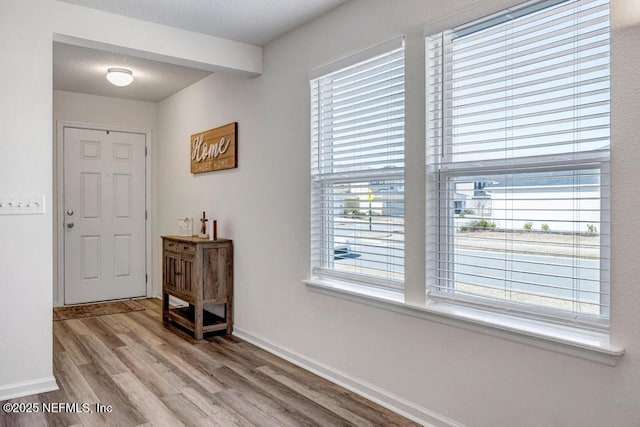 entryway with light hardwood / wood-style floors