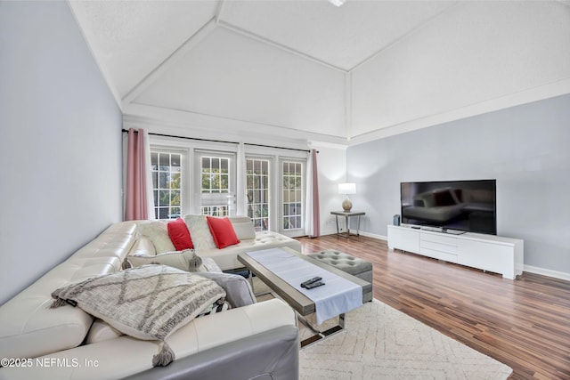 living room with wood-type flooring and high vaulted ceiling