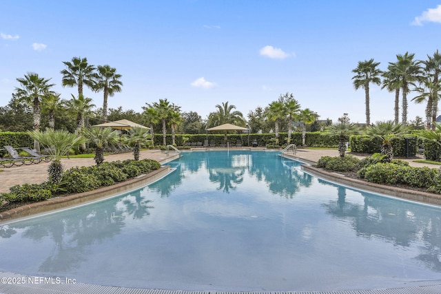 view of swimming pool