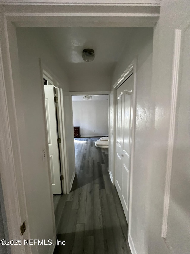 corridor featuring dark hardwood / wood-style floors