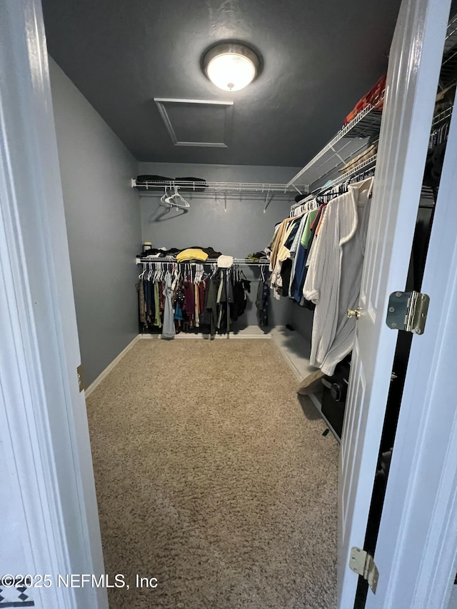 view of spacious closet