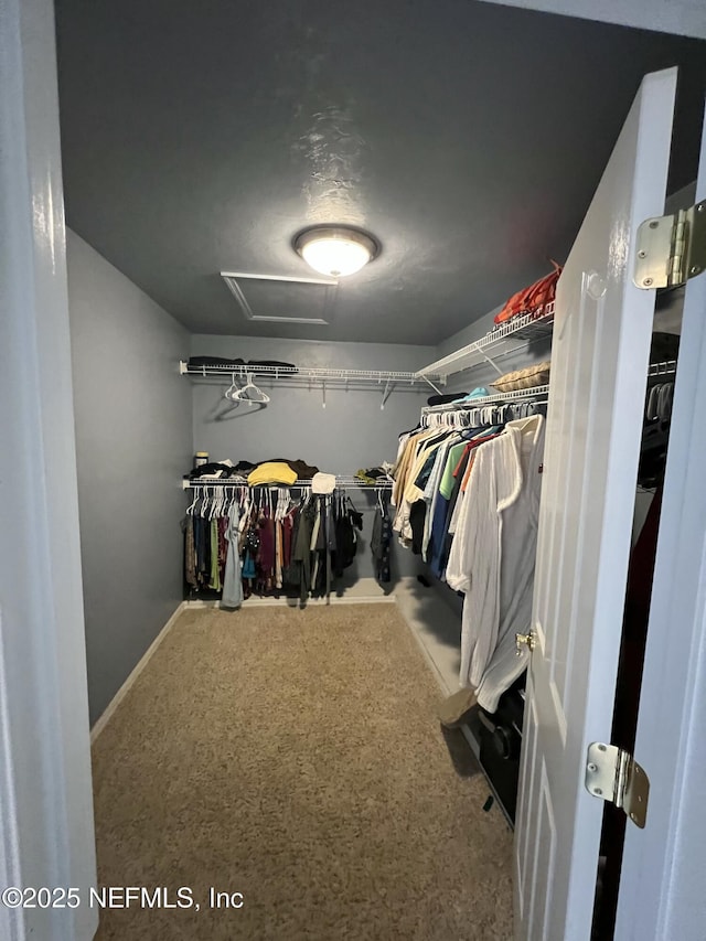 view of spacious closet