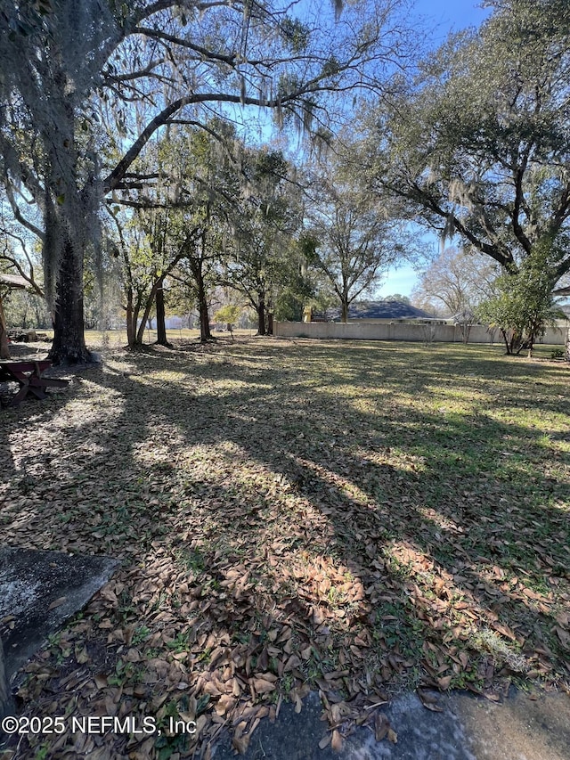 view of yard