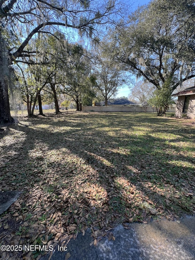 view of yard