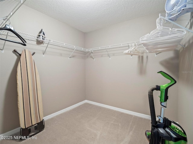 spacious closet featuring light carpet