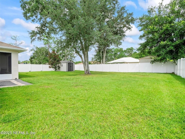 view of yard featuring a shed