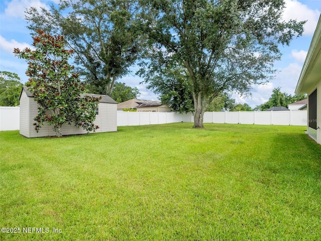 view of yard with a shed