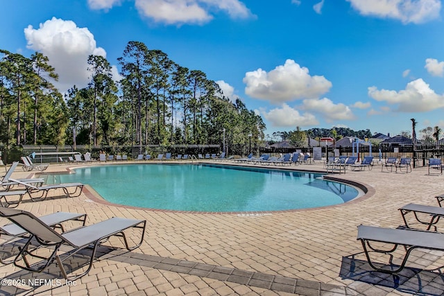 view of pool featuring a patio area