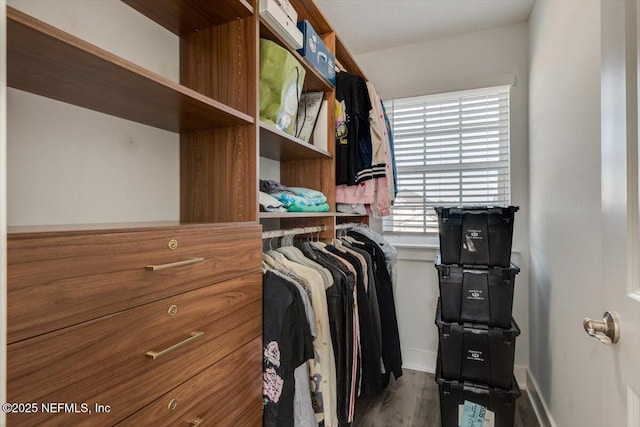 spacious closet featuring dark wood-type flooring