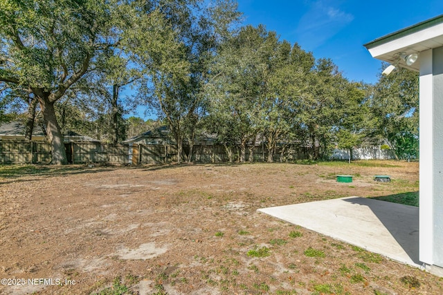 view of yard featuring a patio area