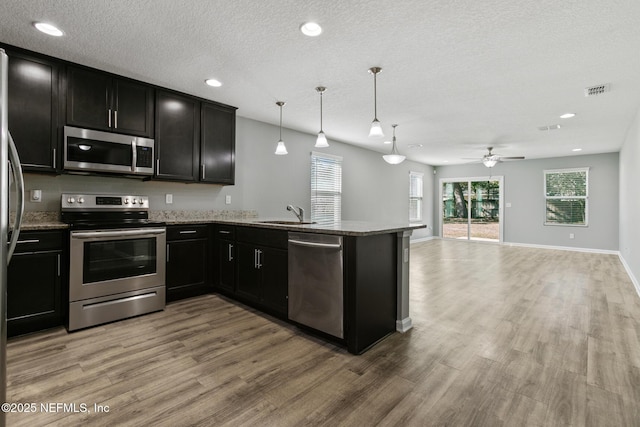 kitchen with appliances with stainless steel finishes, decorative light fixtures, kitchen peninsula, and light hardwood / wood-style floors