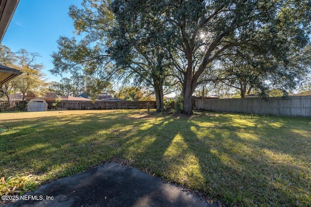 view of yard featuring a storage shed