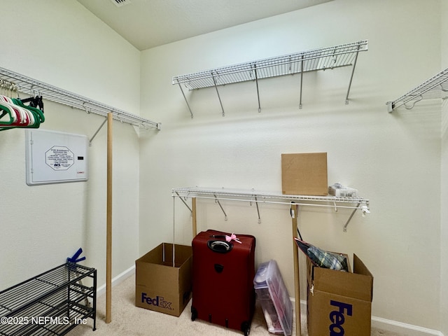 spacious closet with carpet flooring