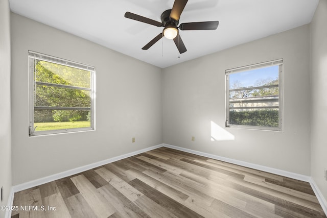 unfurnished room with ceiling fan and light wood-type flooring