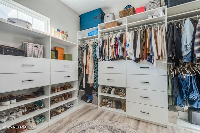 spacious closet with light hardwood / wood-style flooring