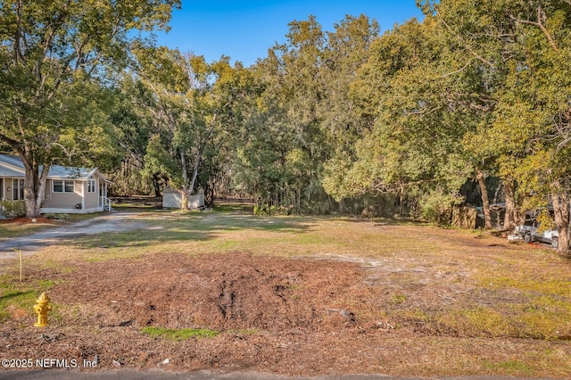 view of yard with a shed