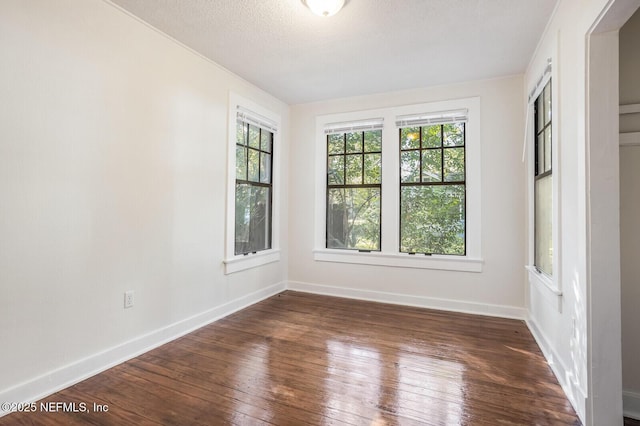 empty room featuring plenty of natural light, dark hardwood / wood-style floors, and a textured ceiling