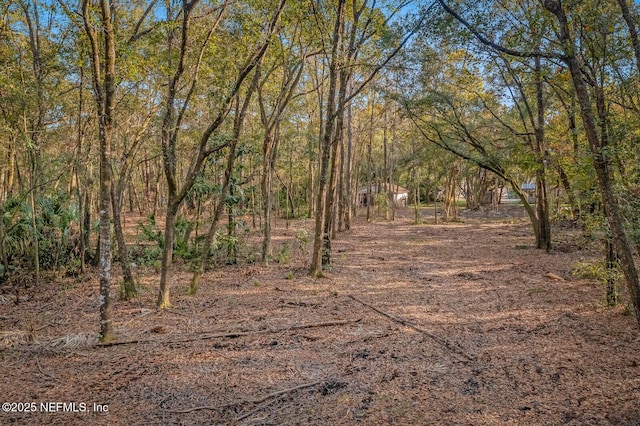 view of local wilderness