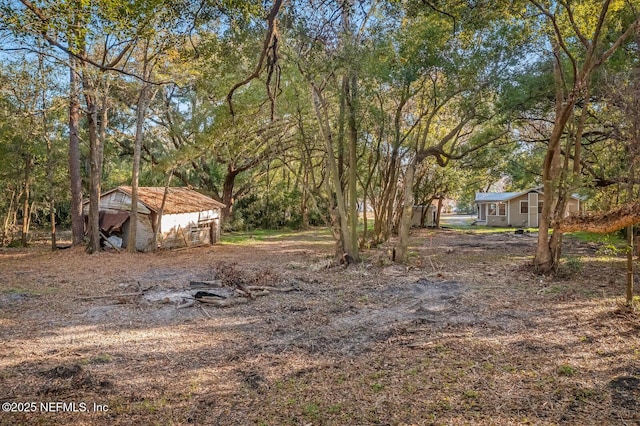 view of yard featuring a storage shed