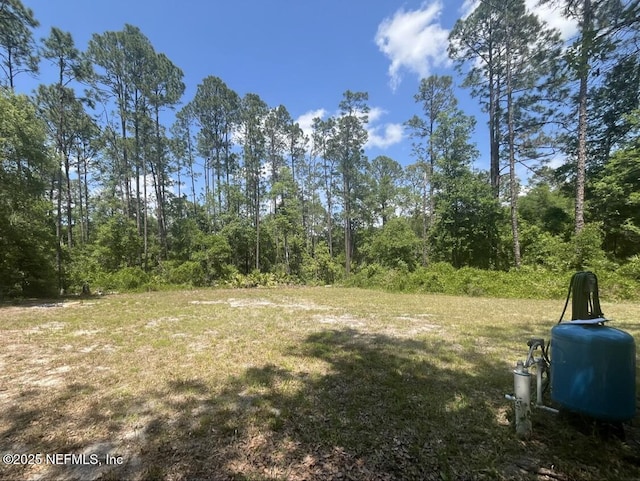 322 Dade Ave, Florahome, FL 32140 - photo 2