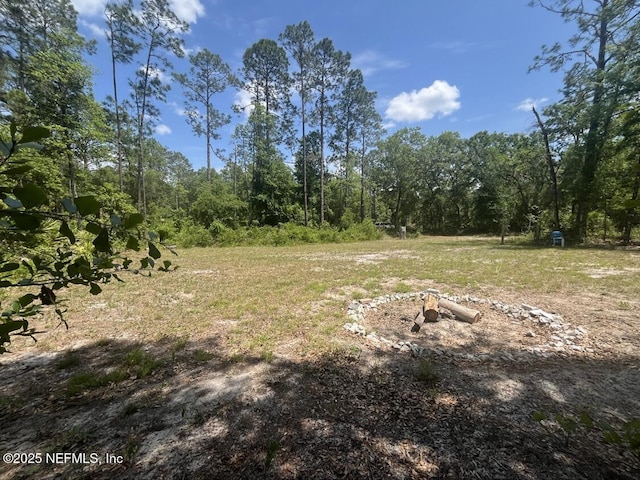 322 Dade Ave, Florahome, FL 32140 - photo 3
