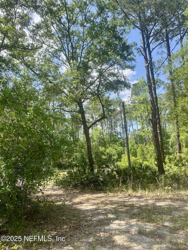 322 Dade Ave, Florahome, FL 32140 - photo 4