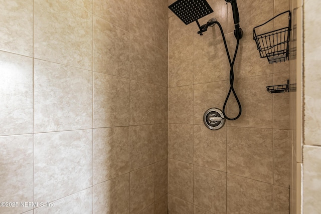 room details with a tile shower