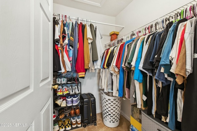 view of walk in closet