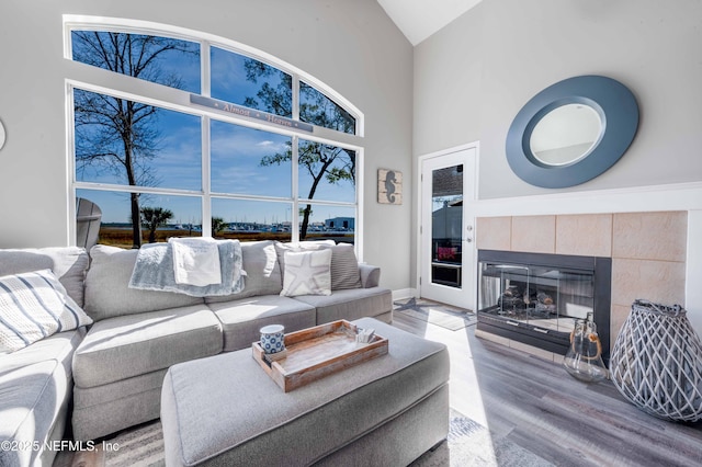 living room with high vaulted ceiling, hardwood / wood-style floors, and a fireplace