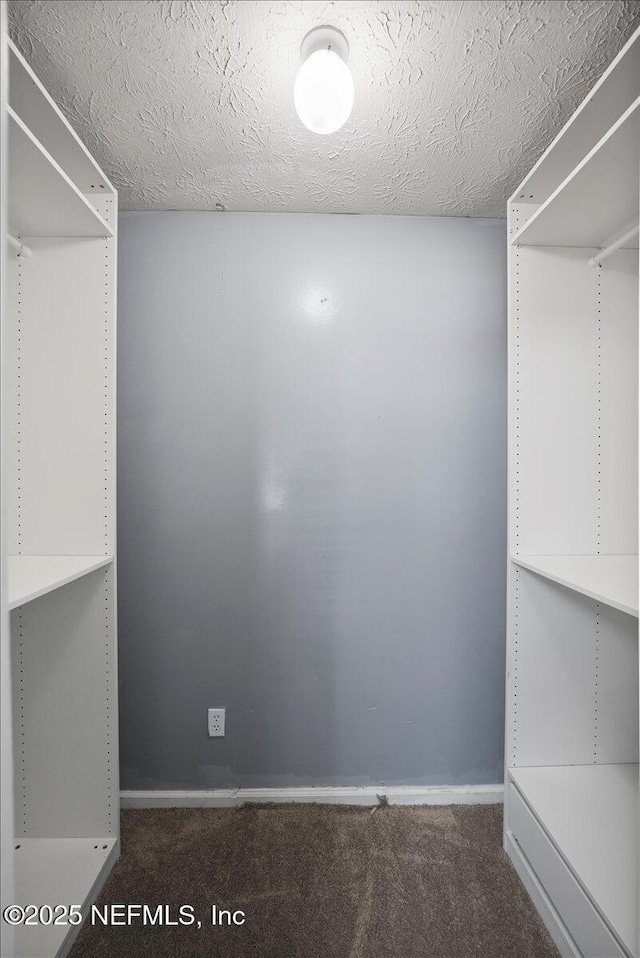 walk in closet with carpet